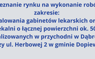 Rozeznanie rynku